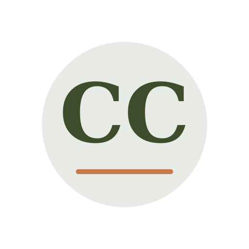 Carer Chimney Services logo